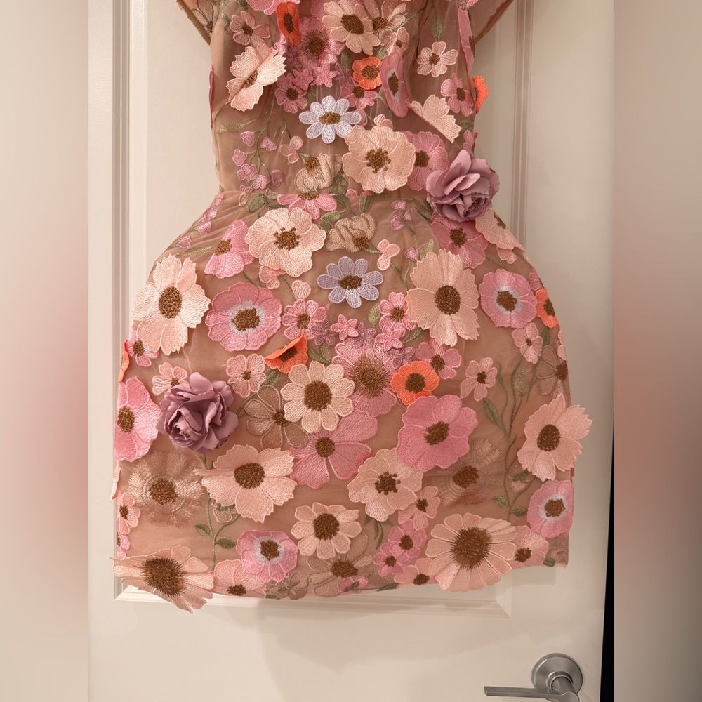 New Bronx and Banco Jasmine Embroidered Floral Applique Mini Dress - Picture 10 of 15